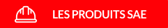 logo_sae